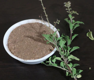 mulethi licorice