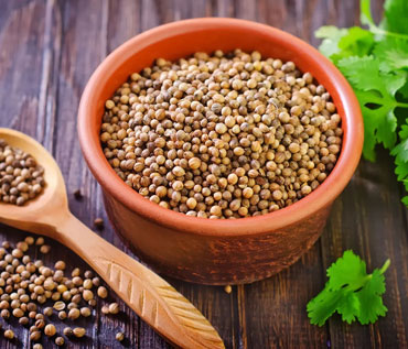 Coriander Seeds